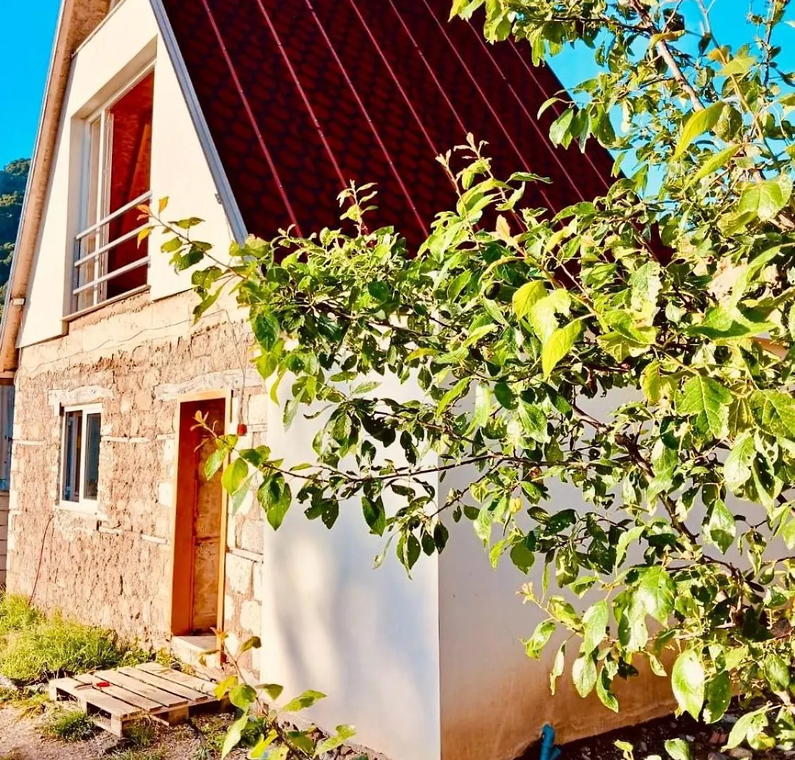 Guest House Qafe-Murrize, Tirane Albanien